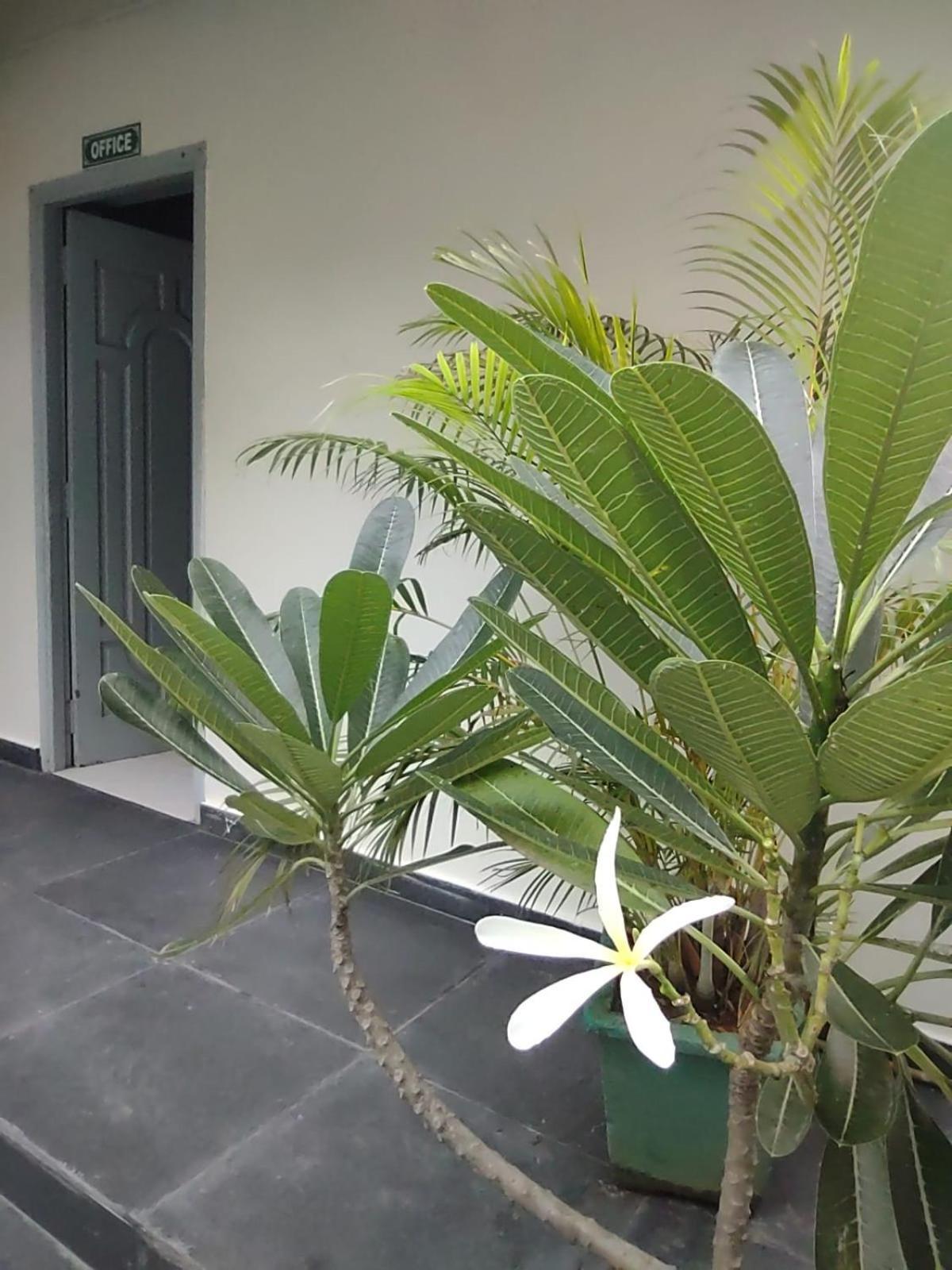 The Well Beach Side Guest House ออโรวิลล์ ภายนอก รูปภาพ